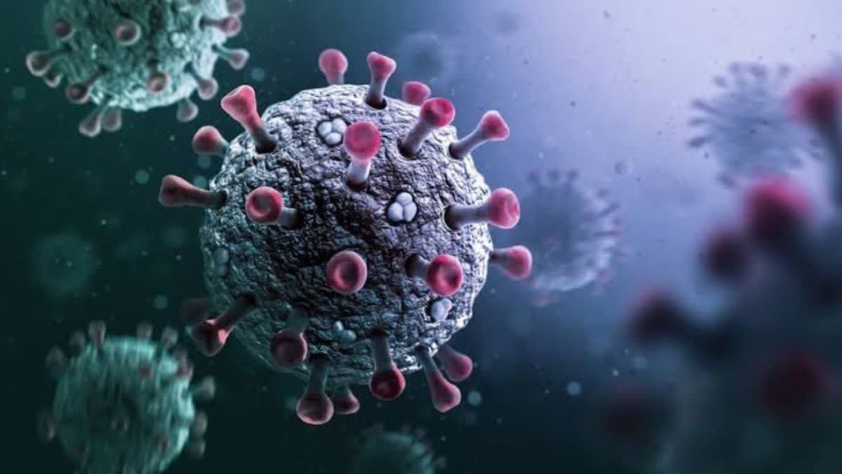 CORONA VIRUS की हुई बापसी  | 2025 मे कोरोना की एंट्री